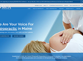 Chiropractor Web Design Design Example