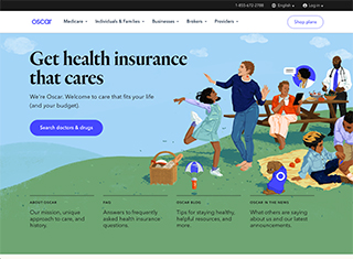 Medical Web Design Design Example