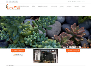 Chiropractor Web Design Design Example