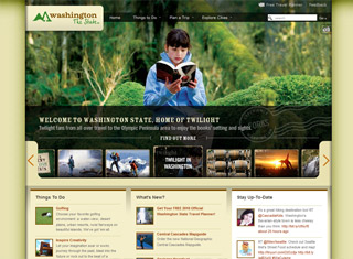 Travel Web Design Design Example