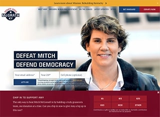 Political Web Design Design Example