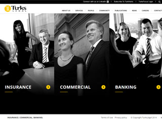 Lawyer Web Design Design Example