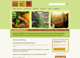 Charity Web Design Design Example