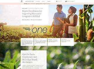 Agriculture Web Design Design Example