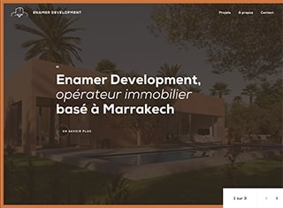 Real Estate Web Design Design Example