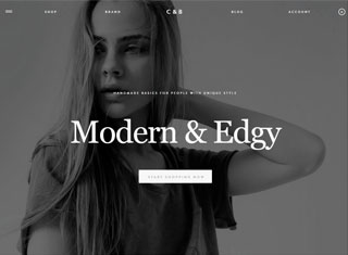 Ecommerce Web Design Design Example