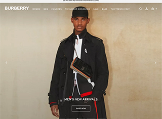 Fashion Web Design Design Example