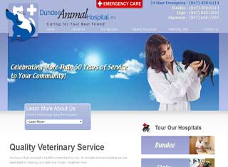 Medical Web Design Design Example