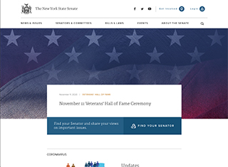 Political Web Design Design Example