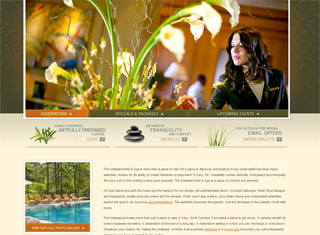 Hotel Web Design Design Example