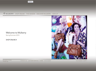 Fashion Web Design Design Example