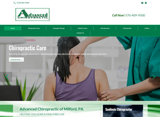 Chiropractor Web Design Design Example