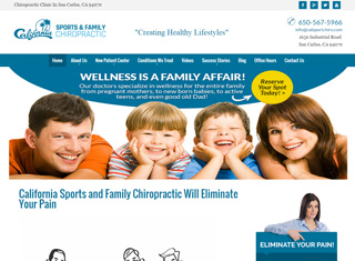 Chiropractor Web Design Design Example