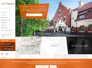 Hotel Web Design Design Example