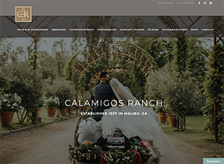 Wedding / Event Web Design Design Example