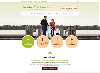 Chiropractor Web Design Design Example