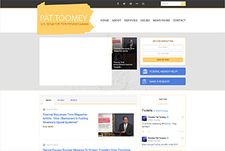 Political Web Design Design Example