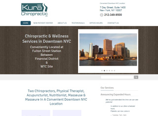 Chiropractor Web Design Design Example