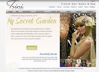 Salon / Spa Web Design Design Example