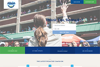 Political Web Design Design Example