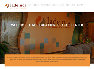 Chiropractor Web Design Design Example