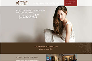 Salon / Spa Web Design Design Example