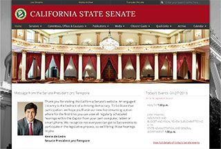 Political Web Design Design Example