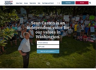 Political Web Design Design Example