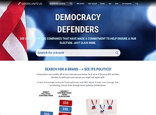 Political Web Design Design Example