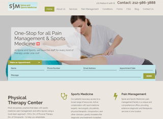 Chiropractor Web Design Design Example