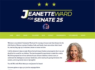 Political Web Design Design Example