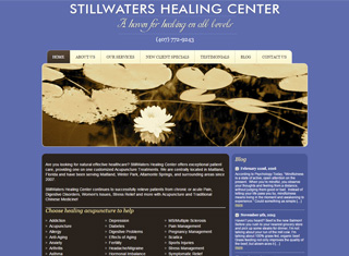 Chiropractor Web Design Design Example