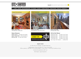 Real Estate Web Design Design Example