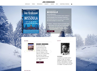 Book Web Design Design Example