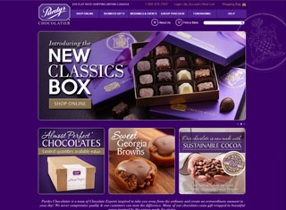 Ecommerce Web Design Design Example