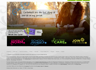 Promotional Web Design Design Example