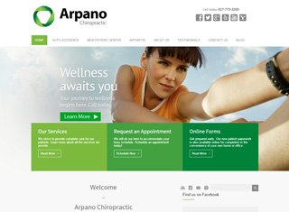 Chiropractor Web Design Design Example