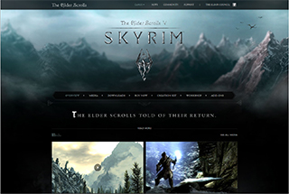 Video Game Web Design Design Example