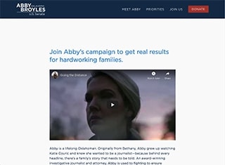 Political Web Design Design Example