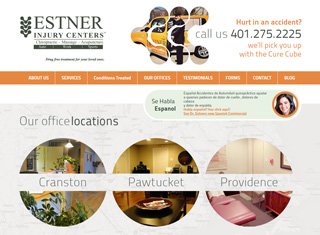 Chiropractor Web Design Design Example