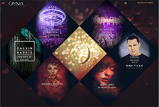 Night Club Web Design Design Example