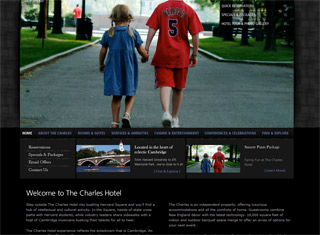 Hotel Web Design Design Example