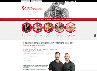 Chiropractor Web Design Design Example