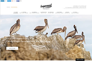 Photography Web Design Design Example