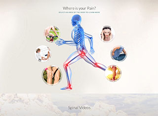 Chiropractor Web Design Design Example