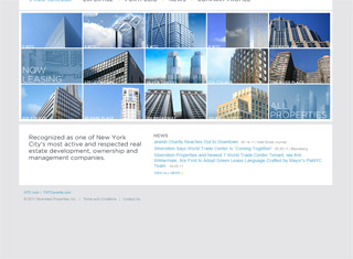 Real Estate Web Design Design Example