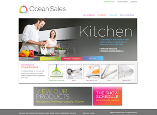 Ecommerce Web Design Design Example