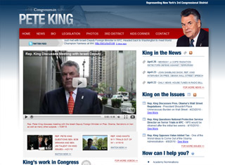 Political Web Design Design Example