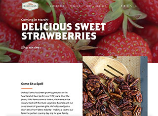 Agriculture Web Design Design Example