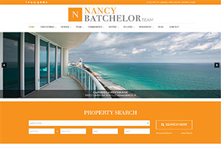 Real Estate Web Design Design Example